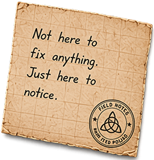 Not here to fix anything. Just here to notice.