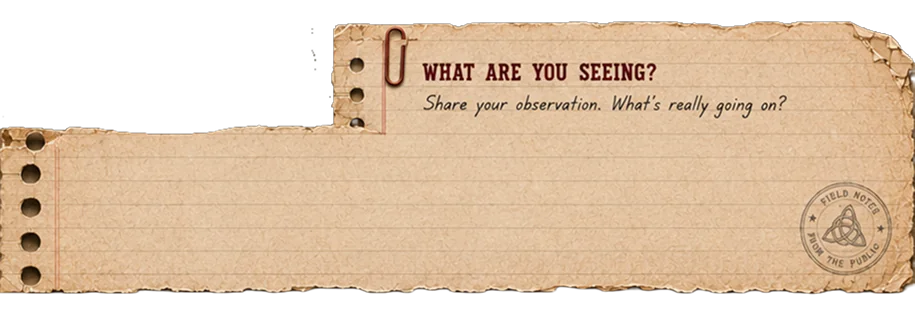What are you seeing? Share your observation.