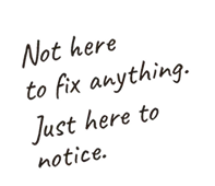 Not here to fix anything. Just here to notice.