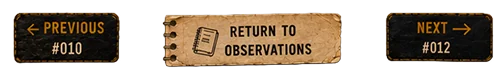 Previous / Next observation